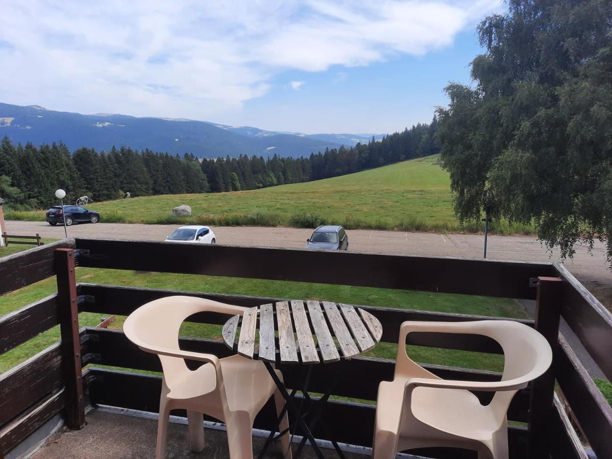 Apartmán Le Lorrane Muhlbach-sur-Munster Exteriér fotografie