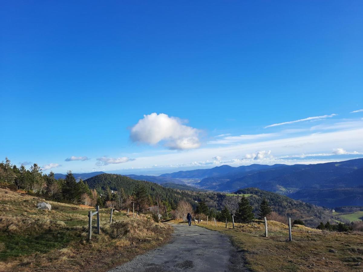 Apartmán Le Lorrane Muhlbach-sur-Munster Exteriér fotografie